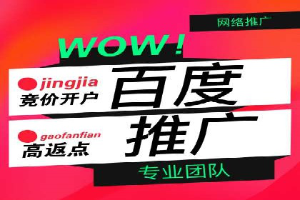 百度竞价推广公司实战案例：助力企业实现业绩翻倍增长